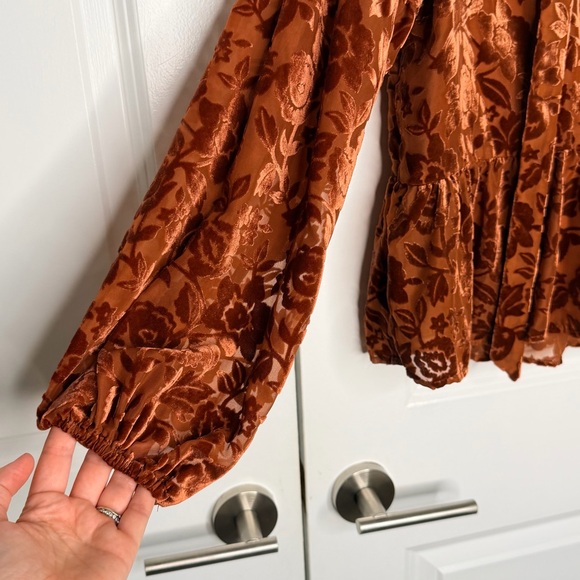 Anthropologie Rust Floral Velvet tie neck Blouse Size Small - Picture 8 of 12
